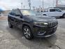 2020 Black /BLACK Jeep Cherokee Limited 4WD (1C4PJMDX0LD) with an 3.2L V6 DOHC 24V engine, 9A transmission, located at 1842 Wirt Road, Houston, TX, 77055, (713) 973-3903, 29.805330, -95.484787 - Photo#6