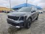 2024 Gray /Black Kia Sorento S AWD (5XYRLDJC0RG) with an 2.5L L4 DOHC 16V engine, 6A transmission, located at 1842 Wirt Road, Houston, TX, 77055, (713) 973-3903, 29.805330, -95.484787 - Photo#0