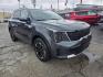 2024 Gray /Black Kia Sorento S AWD (5XYRLDJC0RG) with an 2.5L L4 DOHC 16V engine, 6A transmission, located at 1842 Wirt Road, Houston, TX, 77055, (713) 973-3903, 29.805330, -95.484787 - Photo#6